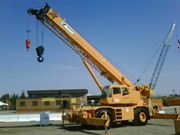 Crane Photo